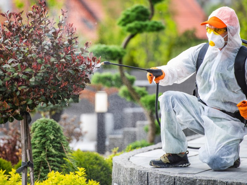 Doğanşar Haşere İlaçlama